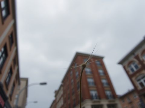 „Eigentlich wissen alle, wo es hakt. Aber es muss eben gespart werden“